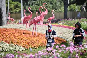 BIB: 
                            <button type="button" onclick="openModal(27793560)" class="btn btn-primary btn-sm float-right btn-popup" data-toggle="modal" data-target=".modal-high-quality">
                        <i class="fas fa-shopping-cart"></i> Add to Cart
                    </button>
                                            <button type="button" onclick="isThisMe(27793560, true)" class="btn btn-success btn-sm float-right btn-popup btn-isme hidden" data-toggle="tooltip" data-placement="bottom" title="นี่คือรูปของคุณใช่ไหม คลิกที่นี่เพื่อเอาเข้าอัลบั้ม">
                        <i class="fas fa-plus"></i> Add to album
                    </button>
                    <button type="button" onclick="isThisMe(27793560, false)" class="btn btn-warning btn-sm float-right btn-popup btn-isnotme hidden">
                        <i class="fas fa-ban"></i> Remove from album
                    </button>